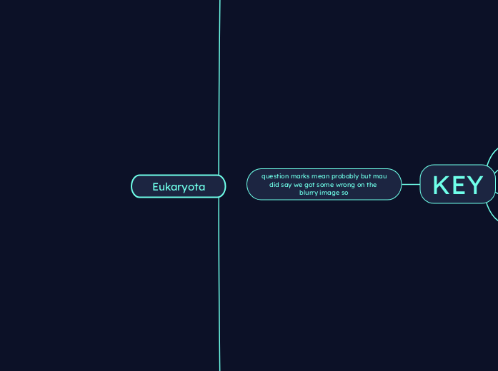 Eukaryota - Mind Map