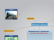 'Бородино' М.Ю. Лермонтов - Мыслительная карта