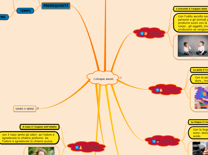 i cinque sensi - Mappa Mentale