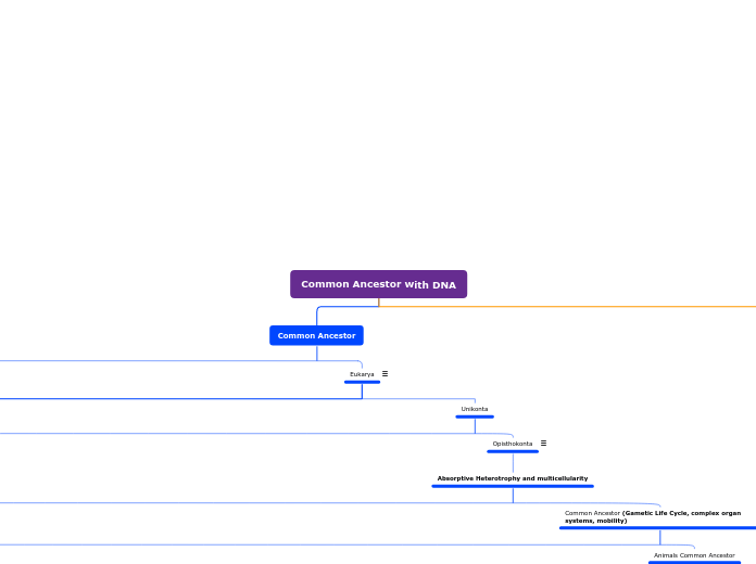 Common Ancestor with DNA - Mind Map