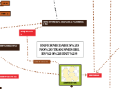 ENFERMEDADES NO TRANSMISIBLES (ENT) - Mapa Mental