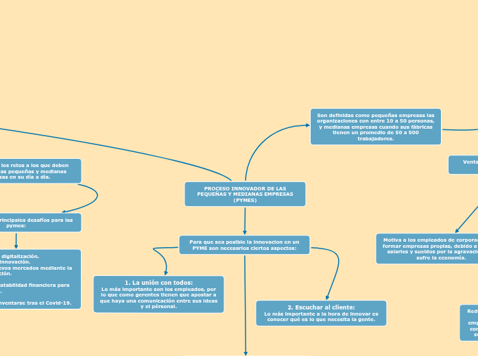 PROCESO INNOVADOR DE LAS PEQUEÑAS Y MED...- Mapa Mental