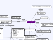 Metacognitie - Sonja (gezamenlijk) - Mindmap