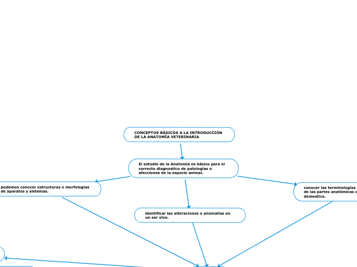 CONCEPTOS BÁSICOS A LA INTRODUCCIÓN DE ...- Mapa Mental