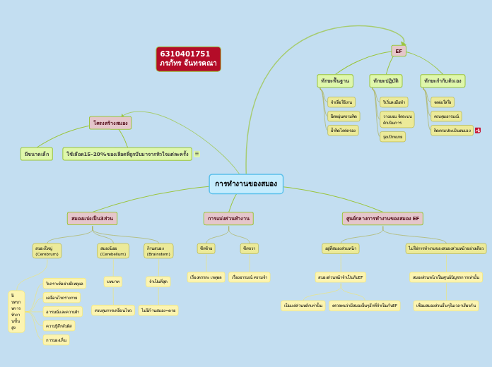 การทำงานของสมอง - Mind Map