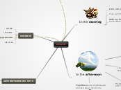 AMAZON - Mind Map