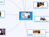 PROCESO PENAL - Mapa Mental
