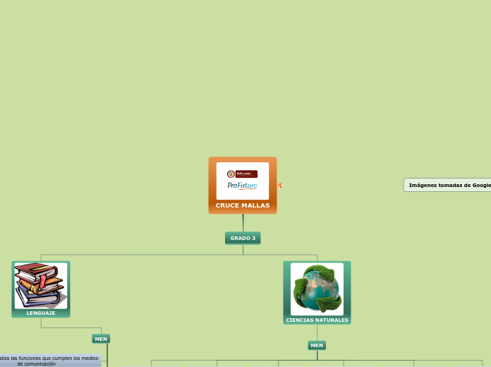 CRUCE MALLAS - Mapa Mental