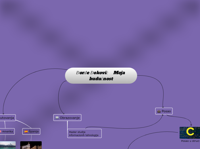 Đorđe Đoković    Moja budućnost - Mind Map