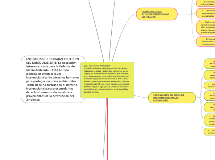 ¿Qué es el Medio Ambiente?
El medio amb...- Mapa Mental