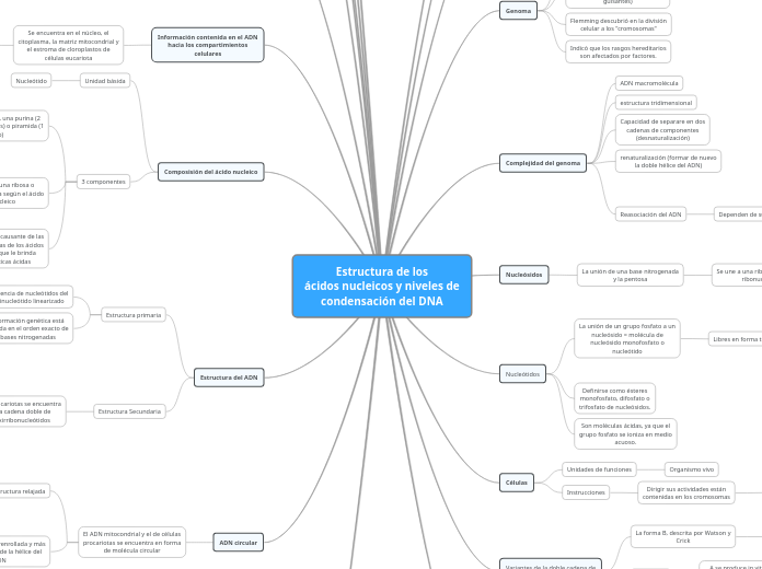 Estructura de los
ácidos nucleicos y ni...- Mapa Mental