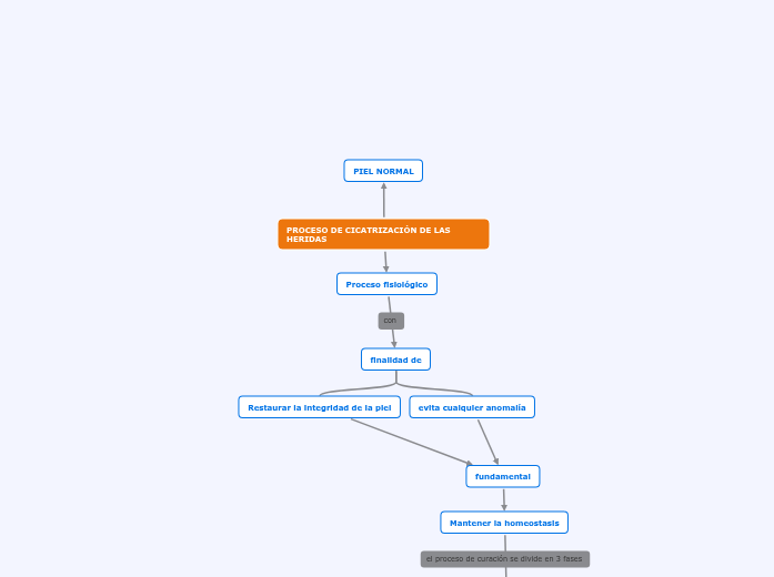 PROCESO DE CICATRIZACIÓN DE LAS HERIDAS - Mapa Mental