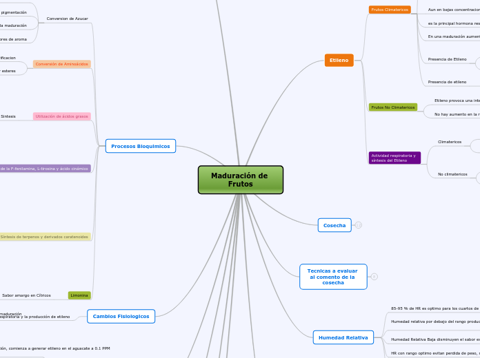 Maduración de Frutos - Mapa Mental