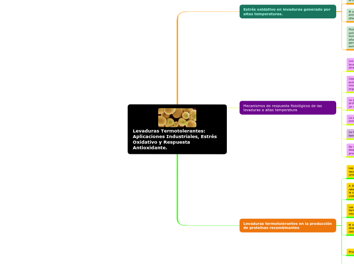 Levaduras Termotolerantes: Aplicaciones...- Mapa Mental