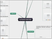 La buena nutrición  - Mapa Mental