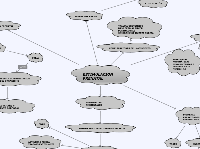 ESTIMULACION PRENATAL - Mapa Mental
