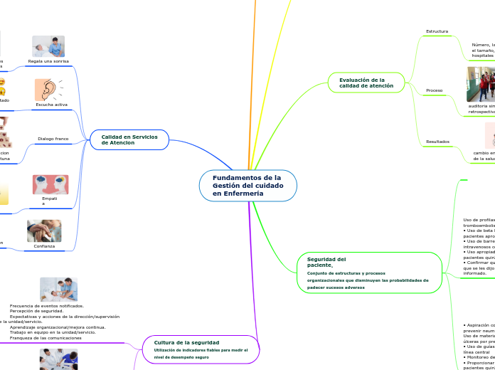 Fundamentos de la
Gestión del cuidado
e...- Mapa Mental