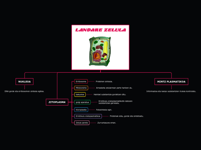 LANDARE ZELULA - Mindmap