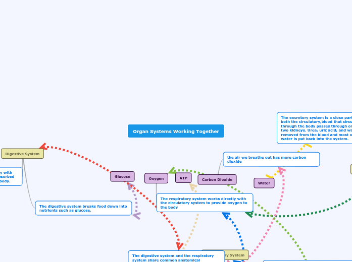Organ Systems Working Together - Mind Map