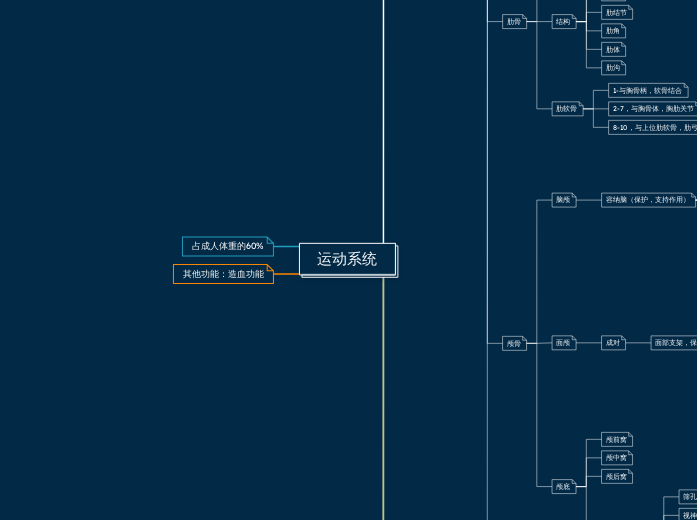 运动系统