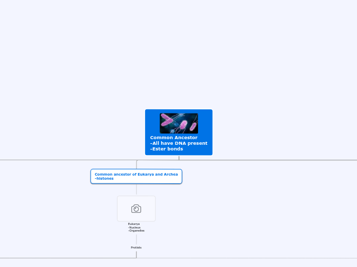 Common Ancestor
-All have DNA present
-Est...- Mind Map
