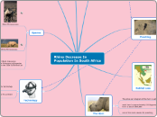 Rhino Decrease In Population In South Afri...- Mind Map
