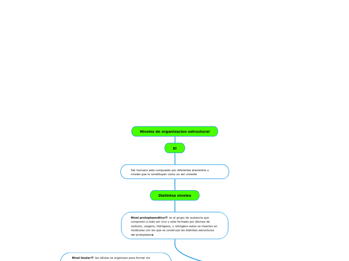 Niveles de organizacion estructural