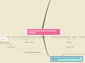 FISIOLOGIA CARDIOPULMONAR - Mapa Mental