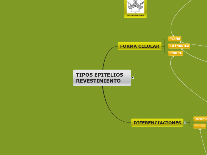 MAPA TIPOS EPITELIOS  REV - Mapa Mental