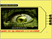 El poder del ojo adaptado a la oscurida...- Mapa Mental