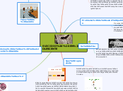 SUICIDIO  EN ADOLESCENTE - Mapa Mental