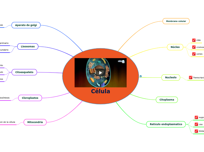 Célula - Mapa Mental