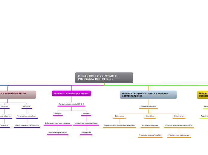 DESARROLLO CONTABLE. PROGAMA DEL CURSO - Mapa Mental