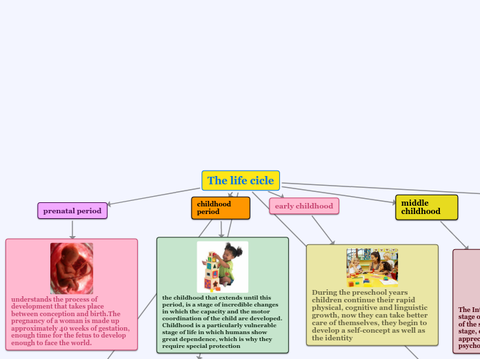 The life cicle - Mind Map