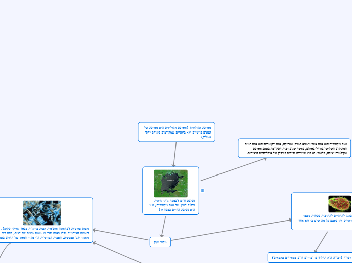 מערכת אקולוגית (מערכת אקולוגית היא מערכת ש...- Mind Map