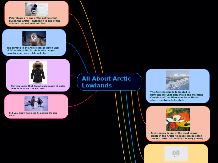 All About Arctic Lowlands - Mind Map