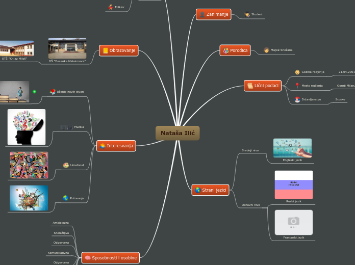 Nataša Ilić - Mind Map