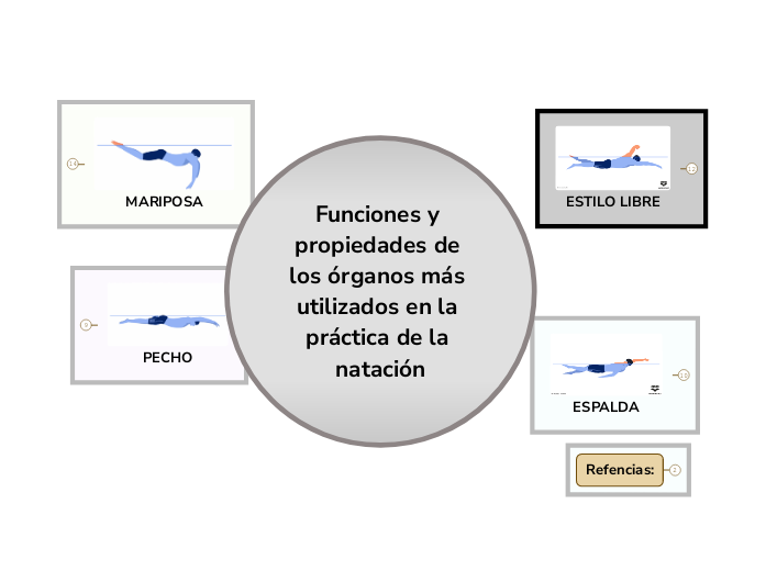 Funciones y propiedades de los rganos m s mind map