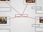 L'Edat Contemporània - Mind Map