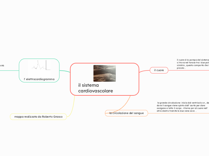 il sistema cardiovascolare - Mappa Mentale