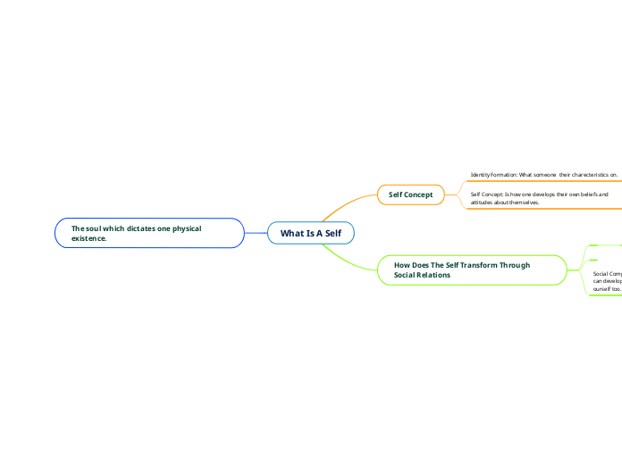 What Is A Self - Mind Map