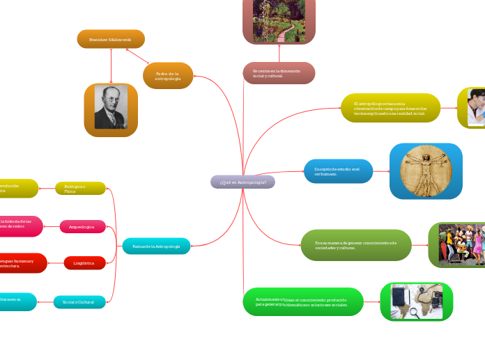  ¿Qué es Antropología? - Mapa Mental