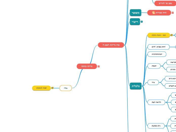 בדיקה עיסקה - Mind Map