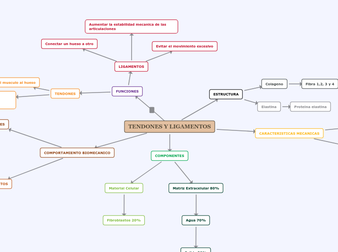 TENDONES Y LIGAMENTOS - Mapa Mental