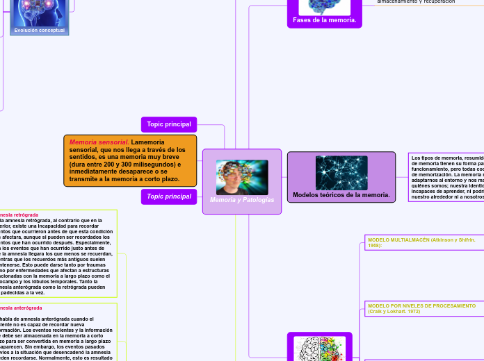 Memoria y Patologías - Mapa Mental