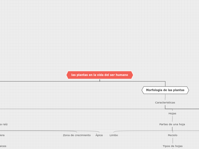 las plantas en la vida del ser humano - Mapa Mental