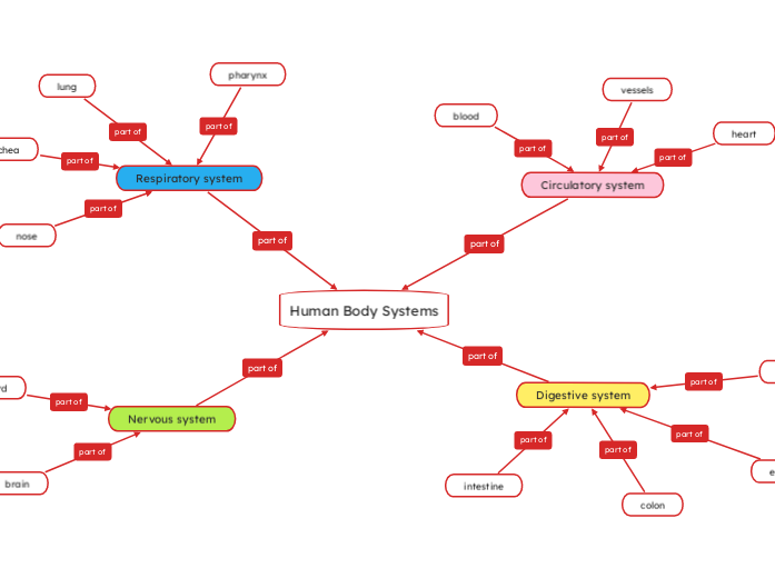 Human Body Systems - Mind Map