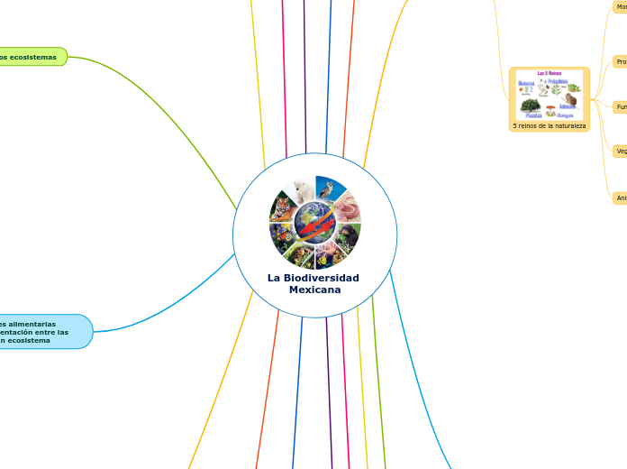 La Biodiversidad 
Mexicana - Mapa Mental