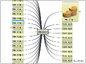 My Life - Mind Map