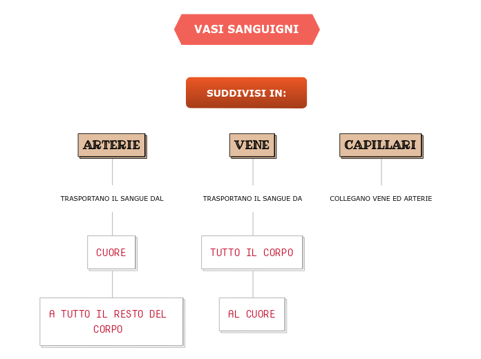 VASI SANGUIGNI Mind Map